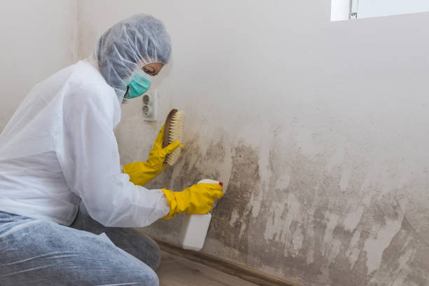 Best Real Estate Mold Inspection  in Kansas City, KS